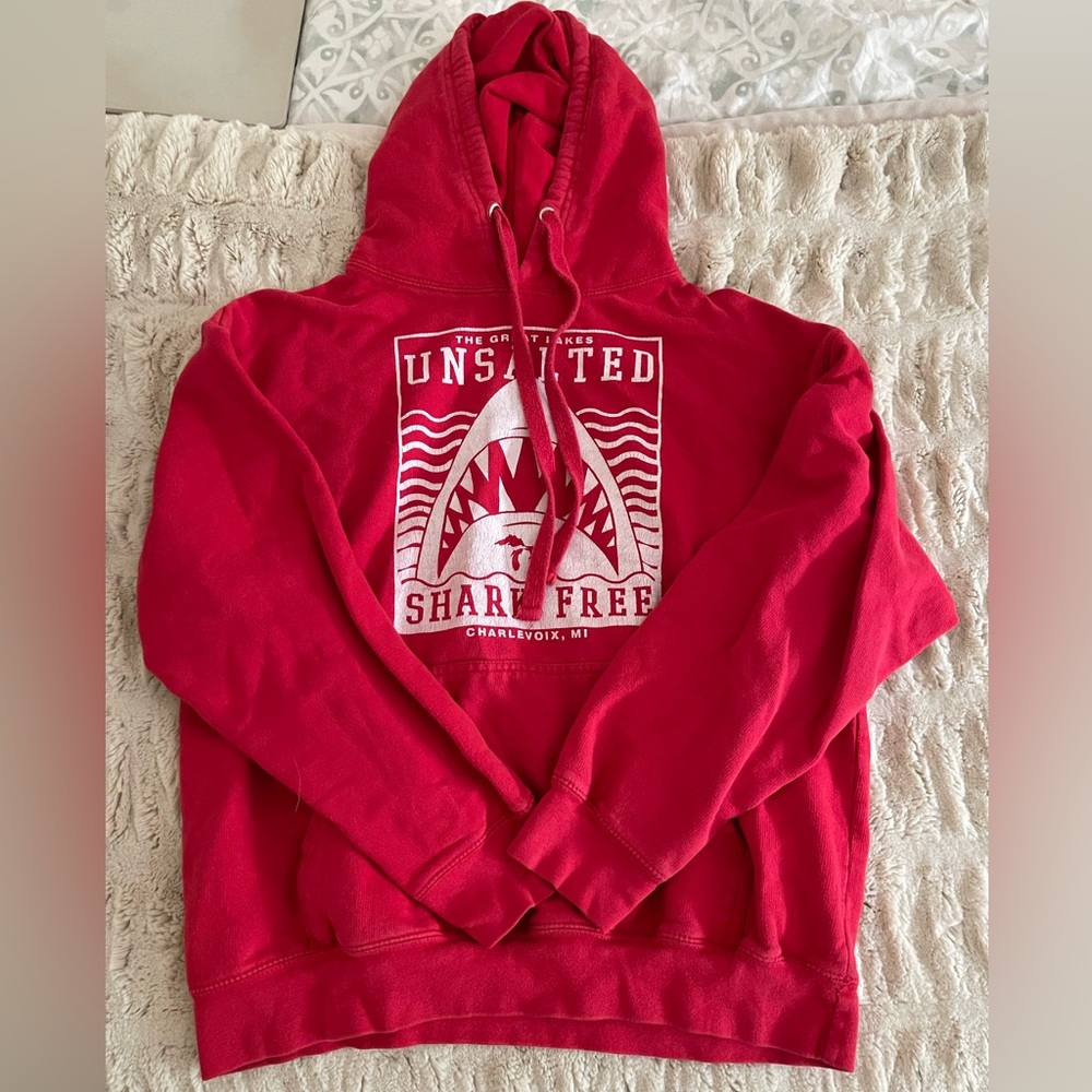 Great Lakes Michigan hoodie